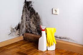 Best Forensic Mold Investigation  in Rossmoor, NJ